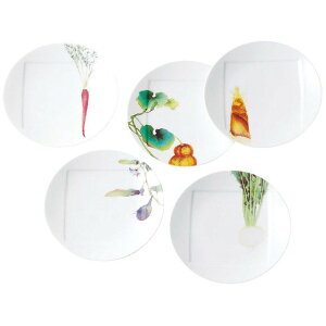 m^P@Noritake t@C|[Z { 15.5cmv[gZbg Gς5 F9931A/1620-38 bsOyj j Mtg@v[g 蕨@uhz