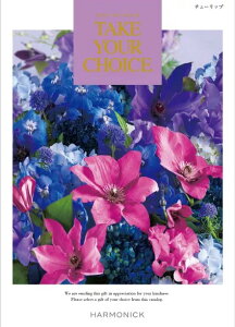 J^OMtg eCNA`CX `[bv4730~R[XbCATALOG GIFT o J^OMtg oYj TԂ Cj j j MtgJ^O O ԃJ^OMtg 