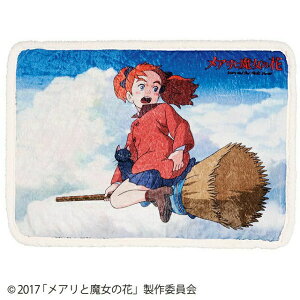 ���� �Ђ��|�� ���A���Ɩ����̉� ��70×100cm ���A���Ƌ� 3835001000