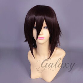 ウィッグ ストレート ショート ブラウン ブラウン系 耐熱 フルウィッグ wig y05s-16s(y05s-16s)