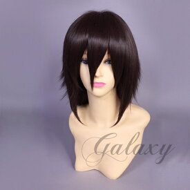 ウィッグ ストレート ショート ブラウン ブラウン系 耐熱 フルウィッグ wig y05s-13s(y05s-13s)