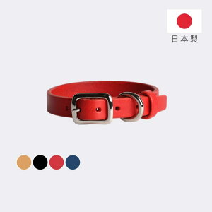    ̎  Vo[obN U[I[_[ ^ ^  т v U[  iC^AU[ ube[ _bNXth r[O v[h Č YO