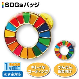 【★4/25 最大P10倍UP!】SDGs バッジ ピンバッジ 簡単 取り付け sdgsバッジ きれい Sustainable Development Goals 地域環境の保護