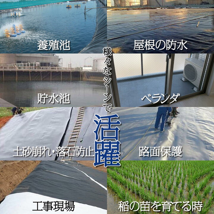 楽天市場】【P3倍+最大1,000円クーポンあり】防水シート 【1〜6m×3 