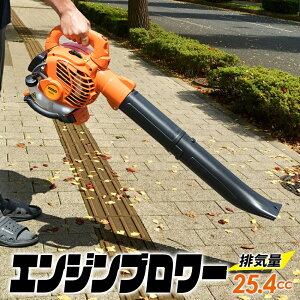 y11/1XSiP11{&1,000~OFFcp!zu[ GWu[ ^ y 25.4cc ͑@ mYe&|xgt { t 