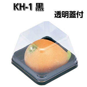 kYƁ@KH-1 t^t(100)