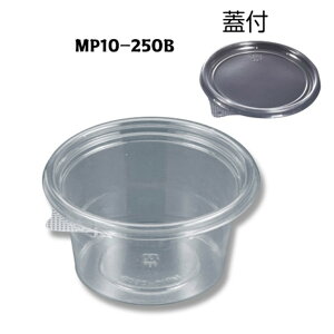 oCIJbv MP10-250B@Wt@50x10ZbgyXpbNz105pC×55mm Hie e ۃJbv ĝėe fU[ge