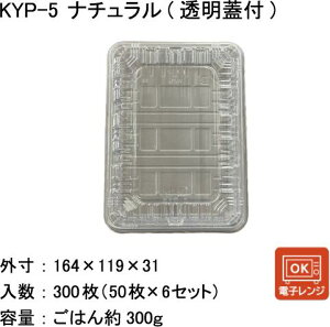 ٓe@KYP-5 i`@ƍW@(300)@ĝėe@ٓ@zٓ@Ae@y WΉ@ٓe@@eCNAEg