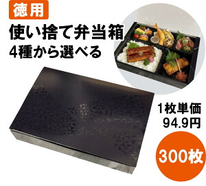 ĝ ٓ 300 A-80-55 UBA  { AP-80-55 d   ĝĕٓ doٓ ٓe eCNAEg zٓ A ٓ ē