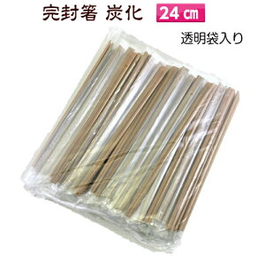  |V Y 24cm ܓ k}Ȃi100j