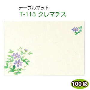 e[u}bg T-113 N}`X260×380mm100`}bg/e[u}bg/e[uEGA