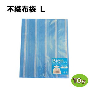 y[OKzsDz  L (10) u[ IW sN O[ W310×H500(}`50)mm bsO َq  v[g 傫 sDz ĝ Mtg  킢