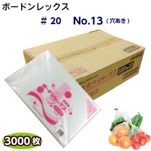 {[hbNX@#20No.13()@(1P[X3000)OPP {[h ؑ {[h hܑ