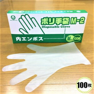 G{X܁@M-2@MTCY@100@yHƁzĝĎ   | Hip܁@Ɨp܁@g؂^Cv