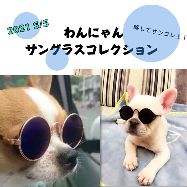 楽天市場 ペット用 ペット用品 サングラス 犬 猫 ペット アクセサリー コスプレ ミニサングラス 全5色 かわいい 可愛い お洒落 おしゃれ ハロウィン 仮装 インスタ映え 撮影用 散歩 犬 猫 犬用 小型犬 チワワ プードル おすすめ 人気 ギフト おもちゃ 在庫処分 服 楽天市場 ペット用 ペット用品 サングラス 犬 猫 ペット アクセサリー コスプレ ミニサングラス 全5色 かわいい 可愛い お洒落 おしゃれ ハロウィン 仮装 インスタ映え 撮影用 散歩 犬 猫 犬用 小型犬 チワワ プードル おすすめ 人気 ギフト おもちゃ 在庫処分 服