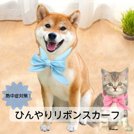 楽天市場 首輪 リボン 大型犬の通販 楽天市場 首輪 リボン 大型犬の通販