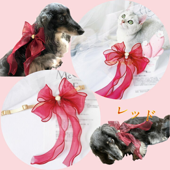 楽天市場 リボン 首輪 オーガンジー プリンセス犬 猫 おしゃれ かわいい ペット 中型犬 ネコ 女の子 男の子 小型犬 送料無料 軽量 柔らかい オシャレ 可愛い 華やか プレゼント アクセサリー チワワ 光る 名前入 名入れ 革 レザー 服 ではありません