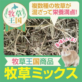 うさぎ 牧草 ミックス牧草 5kg or 10kg 選べる 大容量 お得 ショート カット 短い 食べやすい ミックス チモシー アルファルファ クレイングラス スーダングラス オーツヘイ ウイートヘイ バミューダヘイ 牧草 ミックス 柔らかい うさぎ牧草 健康 高齢 ケア