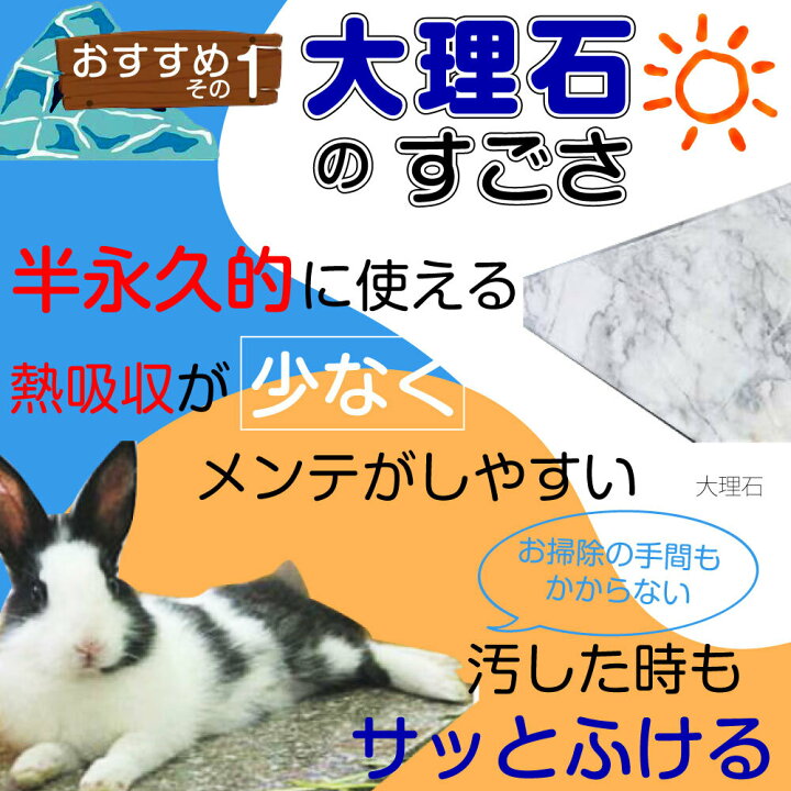 楽天市場 犬 暑さ対策 グッズ ひんやり 大理石 猫 うさぎ トイプードル 大理石 マット クール 石 天然素材 ペット用品 猫 うさぎ 熱中症 対策 小型犬 中型犬 エコ 省エネ チワワ プードル ダックス マンチカン フレブル 保護猫 クールネック 夏服 クールベスト