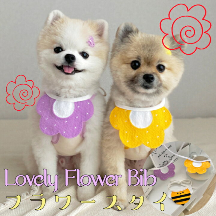 楽天市場 フラワー スタイ 蜂 花 送料無料 犬 猫 おしゃれ かわいい ペット 中型犬 ネコ 女の子 小型犬 軽量 柔らかい オシャレ 可愛い プレゼント アクセサリー チョーカー チワワ マンチカン 保護猫 柴犬 犬服 秋冬 月間優良ショップ クーポン ではありません Mofu