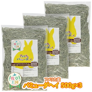  q ETM GT a q 500g×3 ETM q o~[_wC _炩  q Hׂ₷ ыPA i ~ a q mofu parfait  Ɩp   EB[gwC 