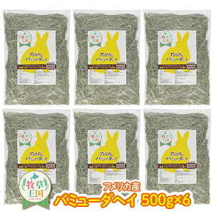  q 500g×6 o~[_wC GT a ETM q ETM q _炩 Hׂ₷  q ыPA i ~ a q mofu parfait  Ɩp EB[gwC   