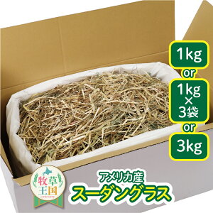  q ETM q y 1kg 1kg×3 3kg Iׂ z X[_OX q ETM GT a o\h J[ ыPA N  q i a q mofu parfait  Ɩp 