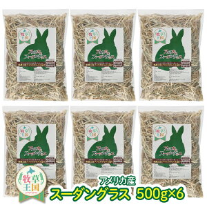  q y 3kg 500g×6 z ETM X[_OX q q ETM GT a N  q i a q J[ ыPA o\h mofu parfait    EB[gw