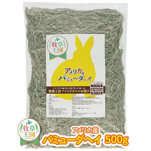  q q 500g ETM o~[_wC ETM GT a q _炩  q Hׂ₷ ~ a q ыPA i mofu parfait    Ɩp EB[gwC ł