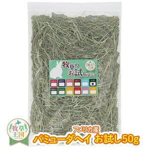 ypbNz q o~[_wC ETM GT a q 50g ETM q _炩 ыPA i ~  q Hׂ₷ a q mofu parfait  EB[gwC 