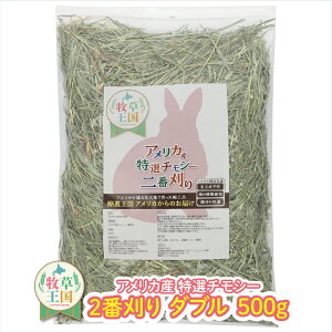  ETM q `V[ _uvX 500g AJY q AJ 2Ԋ Ԋ q mofu parfait ӂςӂ `` bg \tg  ~ _u n  I[cw