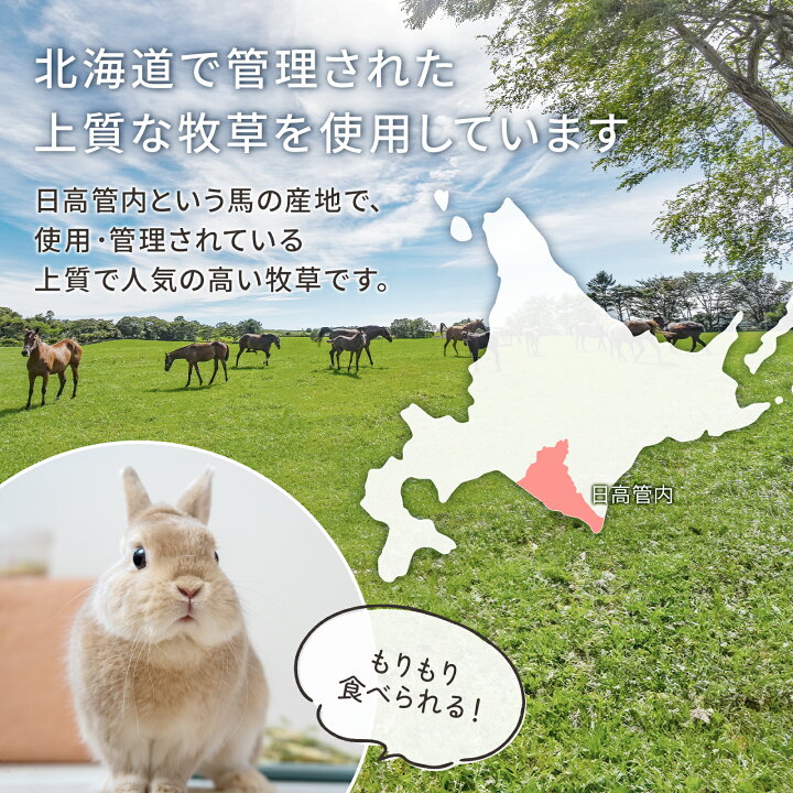 楽天市場】【お試しパック】うさぎ 牧草 チモシー ダブルプレス 50g US 