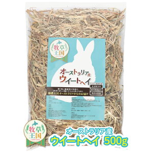  q EB[gwC 500g 1  I[XgAY q q  a GT t[h ̉a q   O q bg mofu parfait ӂςӂ  q 