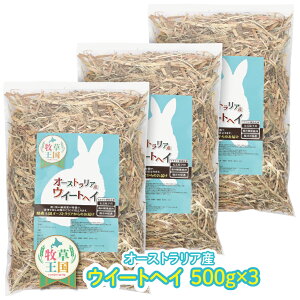  q EB[gwC I[XgAY 500g×3 q   O q bg  q q  a GT t[h ̉a mofu parfait ӂςӂ  q 