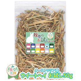 うさぎ 牧草 ウィートヘイ 50g お試しパック えさ 餌 エサ フード お試し用 牧草 苦手 嗜好性 うさぎ牧草 うさぎ 高齢 飽き 牧草 オーストラリア産 牧草王国 モルモット mofu parfait もふぱふぇ ※ 牧草入れ アルファルファ ではありません