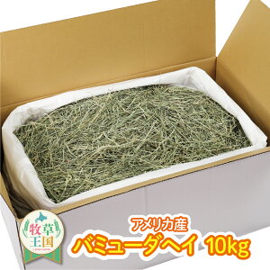  q 10kg o~[_wC ETM GT a  Ɩp q ETM q Hׂ₷ _炩  q ыPA i a ~ q mofu parfait   EB[gwC ł