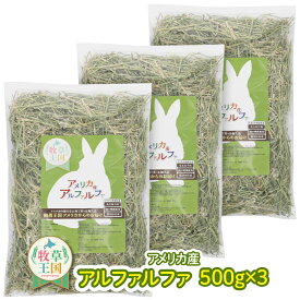 アルファルファ 500g×3袋　【お値段以上】ウサギ 牧草 うさぎ アルファルファ ダブルプレス 牧草王国 3kg アメリカ産 アメリカ US 1番刈り 一番刈り うさぎ 牧草 mofu parfait もふぱふぇ チンチラ うさぎ モルモット 牧草 えさ 敷材