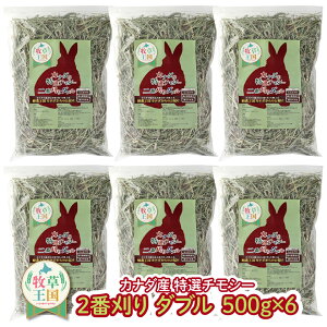 Ji_YI`V[2Ԋ_u 500g×6 q ETM `V[ Ji_ _uvX 2Ԋ Ԋ mofu parfait ӂςӂ q ``  bg q  ~ 