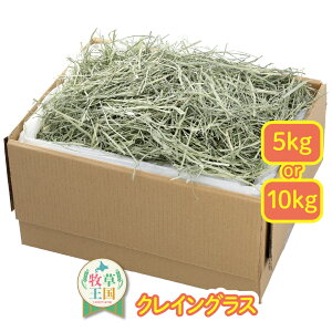 NCOX 5kg 10kg ETM q  NCOX ^pN ᎉb _CGbg q  q  a `` bg q  ~ xL C^ACO