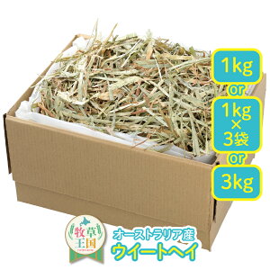  q EC[gwC 1kg 1kg×3 3kg  q e Ɩp q  a GT t[h ̉a q   O q I[XgAY q bg  mof