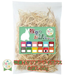  q C^ACOX 50g pbN ӂςӂ q ETM fO[ `` nX^[ bg nDQ H@ۖLx `V[pi