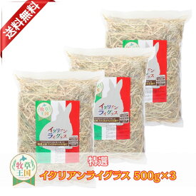 うさぎ 牧草 イタリアンライグラス 500g×3袋 もふぱふぇ 牧草王国 ウサギ デグー チンチラ ハムスター モルモット 嗜好性抜群 食物繊維豊富 チモシー代用品
