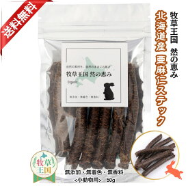 うさぎ 牧草 アマニステック 50g 北海道産 亜麻仁100％ 無添加 無着色 無香料 オメガ3 食物繊維 ポリフェノール 早食い防止 ウサギ おやつ モルモット チンチラ ハムスター デグー もふぱふぇ 牧草王国