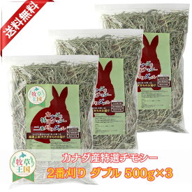 カナダ産特選チモシー2番刈りダブル 500g×3袋 うさぎ牧草 ウサギ チモシー カナダ ダブルプレス 2番刈り 二番刈り mofu parfait もふぱふぇ 牧草王国 チンチラ うさぎ モルモット 牧草 えさ 敷材 ダブル ソフト ※ オーツヘイ キューブ ではありません