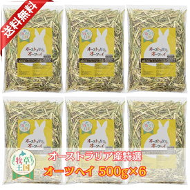 【送料無料】うさぎ牧草 ウサギ オーツヘイ 500g×6袋 オーストラリア産 牧草王国 うさぎ 牧草 mofuparfait もふぱふぇ チンチラ モルモット 牧草 えさ 敷材 ラベルレス 小動物大好き ※ キューブ ではありません