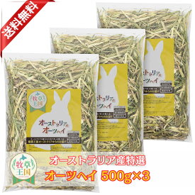 うさぎ 牧草 ウサギ オーツヘイ 500g×3袋 オーストラリア産 うさぎ 草 餌 牧草王国 mofu parfait もふぱふぇ チンチラ うさぎ モルモット 牧草 えさ 敷材　ラベルレス お試し パック n