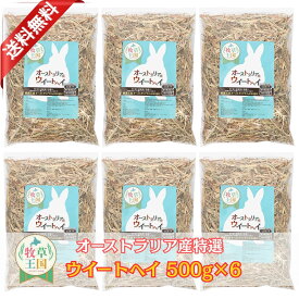 うさぎ 牧草 ウィートヘイ 500g×6袋 大容量 うさぎ牧草 牧草 えさ 餌 エサ フード うさぎの餌 オーストラリア産 牧草王国 うさぎ 高齢 飽き 牧草 モルモット うさぎ mofu parfait もふぱふぇ ※ 牧草入れ アルファルファ ではありません