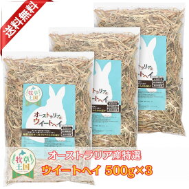 うさぎ 牧草 ウィートヘイ オーストラリア産 500g×3袋 牧草王国 うさぎ 高齢 飽き 牧草 モルモット うさぎ うさぎ牧草 牧草 えさ 餌 エサ フード うさぎの餌 mofu parfait もふぱふぇ ※ 牧草入れ アルファルファ ではありません
