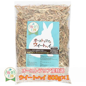 うさぎ 牧草 ウィートヘイ 500g 1袋 うさぎ オーストラリア産 うさぎ牧草 牧草 えさ 餌 エサ フード うさぎの餌 牧草王国 うさぎ 高齢 飽き 牧草 モルモット mofu parfait もふぱふぇ ※ 牧草入れ アルファルファ ではありません