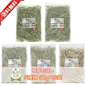 【お試しセット】【チモシーお試し】5種類 チモシー うさぎ牧草 50g×5 アメリカ産1番刈りプレミアムチモシー 北海道産チモシー カナダ産チモシー アメリカ産1番刈りダブル アメリカ産2番刈りチモシーダブル 牧草王国 人気5種おまとめ ※ オーツヘイ キューブ ではありません